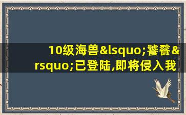 10级海兽‘饕餮’已登陆,即将侵入我市