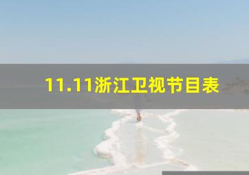 11.11浙江卫视节目表