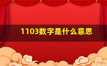 1103数字是什么意思