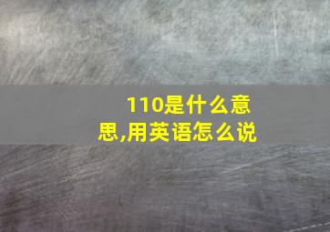 110是什么意思,用英语怎么说