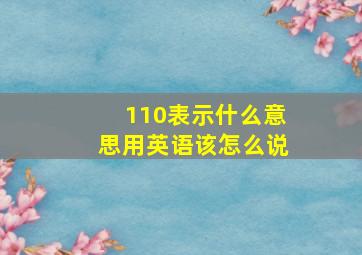 110表示什么意思用英语该怎么说