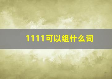 1111可以组什么词