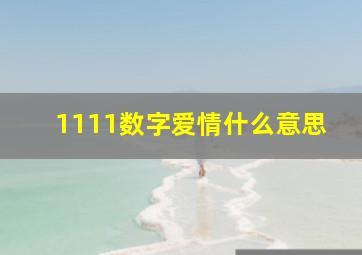 1111数字爱情什么意思