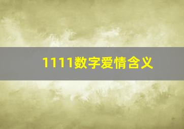 1111数字爱情含义