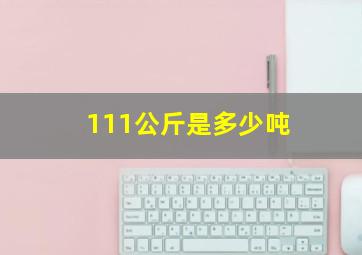 111公斤是多少吨