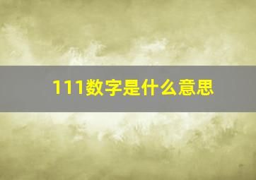 111数字是什么意思