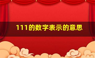 111的数字表示的意思