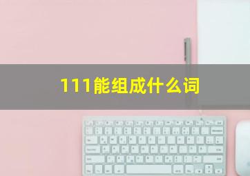 111能组成什么词