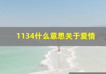 1134什么意思关于爱情