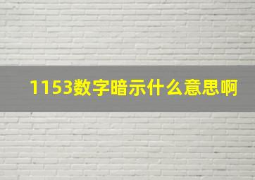 1153数字暗示什么意思啊