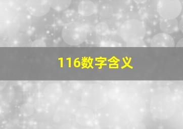 116数字含义