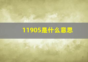 11905是什么意思