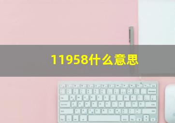 11958什么意思