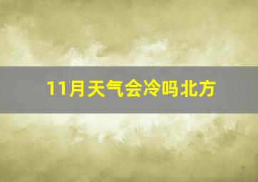 11月天气会冷吗北方