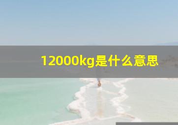 12000kg是什么意思