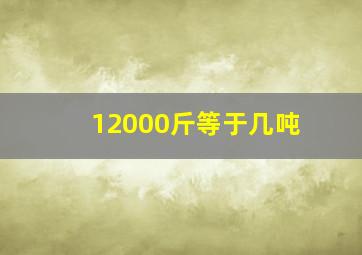 12000斤等于几吨