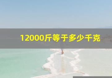 12000斤等于多少千克