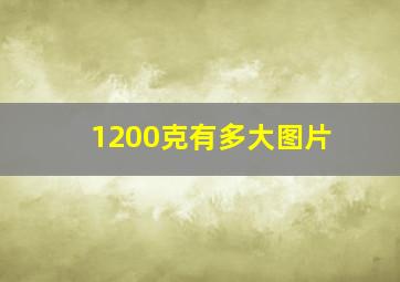 1200克有多大图片