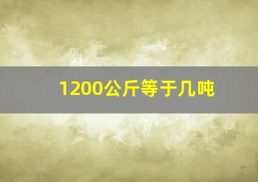 1200公斤等于几吨