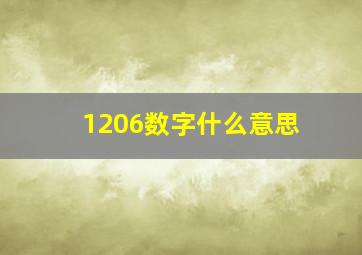 1206数字什么意思