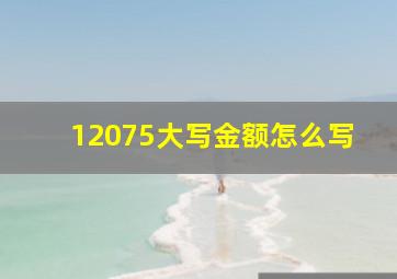 12075大写金额怎么写