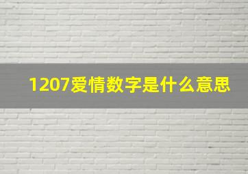 1207爱情数字是什么意思