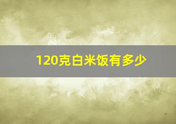 120克白米饭有多少