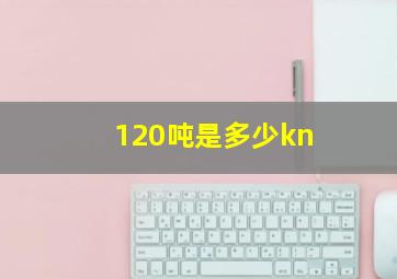 120吨是多少kn