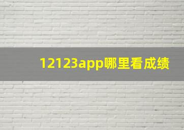 12123app哪里看成绩