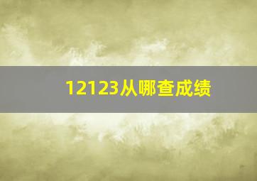 12123从哪查成绩