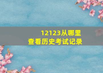 12123从哪里查看历史考试记录