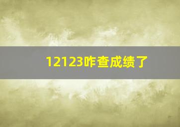 12123咋查成绩了