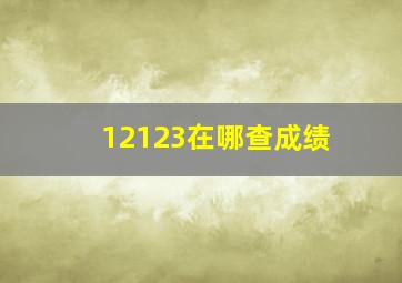 12123在哪查成绩