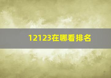 12123在哪看排名