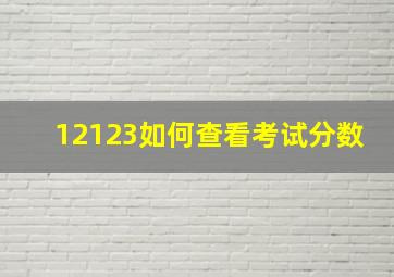 12123如何查看考试分数