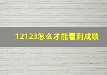 12123怎么才能看到成绩