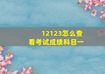 12123怎么查看考试成绩科目一