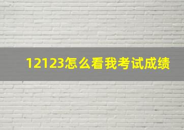 12123怎么看我考试成绩