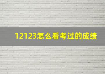 12123怎么看考过的成绩