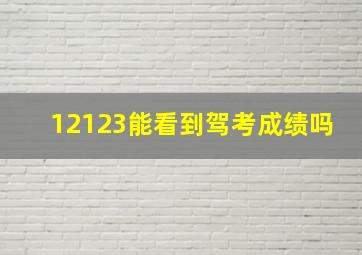 12123能看到驾考成绩吗