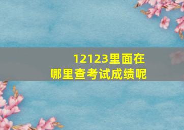 12123里面在哪里查考试成绩呢