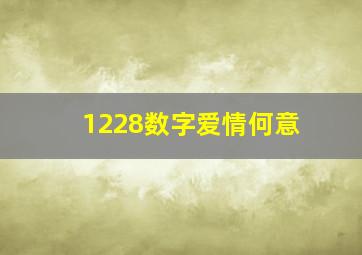 1228数字爱情何意