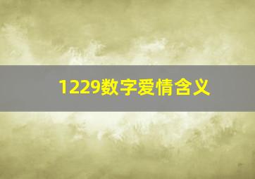 1229数字爱情含义