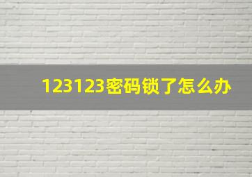 123123密码锁了怎么办