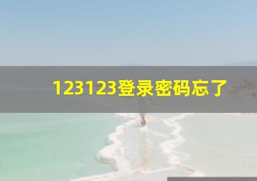 123123登录密码忘了