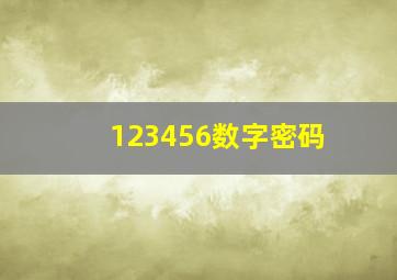 123456数字密码