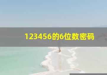 123456的6位数密码