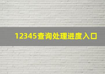 12345查询处理进度入口