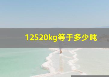 12520kg等于多少吨