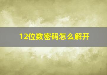 12位数密码怎么解开